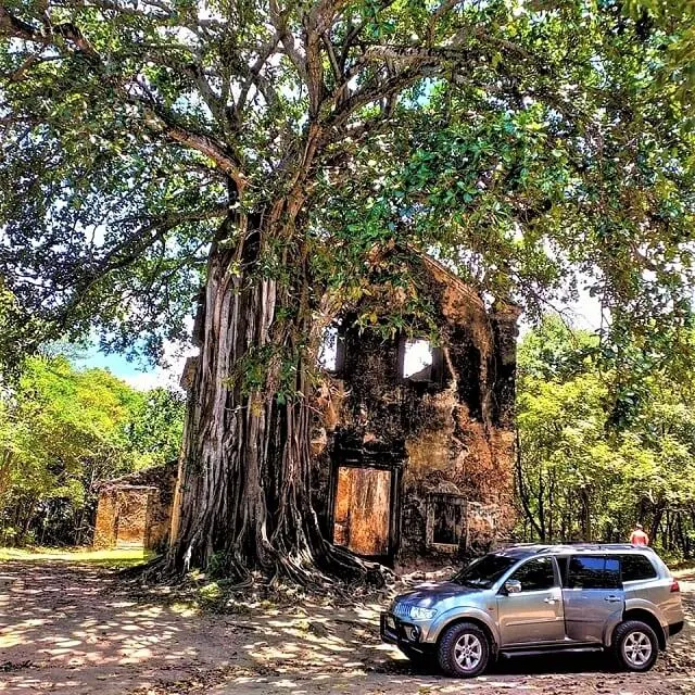 Ecoturismo de SUV 4x4, na mata de Lucena